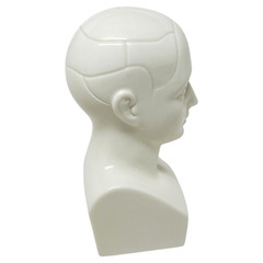 VTG Boehm ETRAFON Phrenology Head Ceramic Bust Drug Advertising Figurine – E