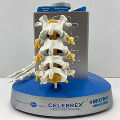 Pfizer Pharmaceutical Advertisement Celebrex Bextra Arthritis Display Model
