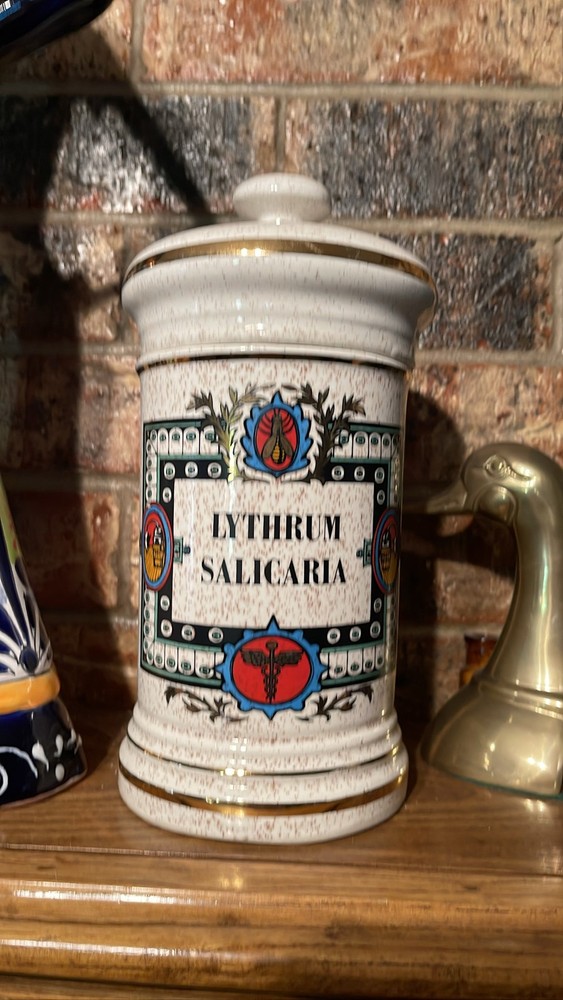 Ceramic Apothecary Pharmacy Jar Lythrum Salicaria Lidded Canister