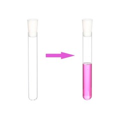 Glass Test Tubes with Rubber Stoppers 150mm x 20mm Pack of 10 and 1pcs Brush 