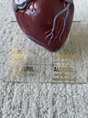 Vintage Merck Sharp Dohme Anatomical Heart Model Diuril Aldomet Drug Rep