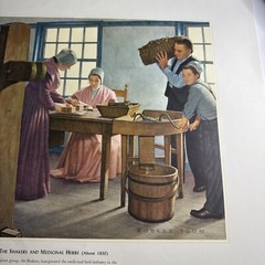 A HISTORY OF PHARMACY IN PICTURES 1954 PRINT#26 Great Gift For Doctor 22″×18″