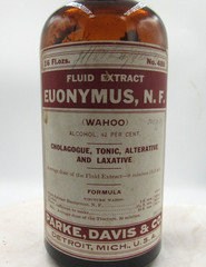 MM – 1920’s Parke, Davis & Co Detroit Mich Euonymus 7 3/8″ Amber Medicine bottle