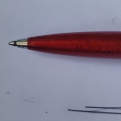 Caduet Amlodipine Besylate/Atorvastatin Calcium Drug Rep Pen Red/White