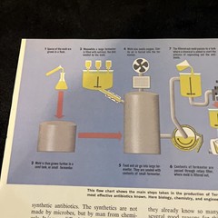 Weimer Purcell Antibiotic Production Illustration 1967 Original Encyclopedia