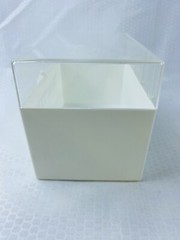 TARACTAN CHLORPROTHIXENE ROCHE Pharmaceutical INDEX CARD PLASTIC BOX