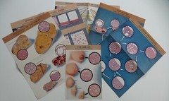 18 Ciba Pharmaceutical Folders w/ Color Plates – Pathology Anatomy War Injuries