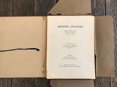 1930 Anatomical drawing Set Of 50 „Plates“ From The Art Guild Academy Of LA