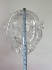 UCB Pharma Lucite Head Skull Brain Model Medical Pharmaceutical Science Display