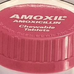 AMOXIL Die Cut Pharmaceutical Pharmacy Drug Rep Magnet 4″ x 2″