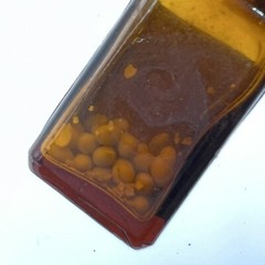 RARE Vintage Lilly Mercurous Iodide Yellow Glass Medicine Bottle Collectible