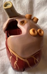 VINTAGE!! Heart Display- Retro and Super Cool!