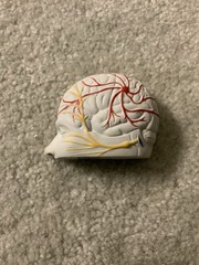 Vintage Imitrex Brain Shaped Foam Stress Ball Medical Advertising Promo Rare