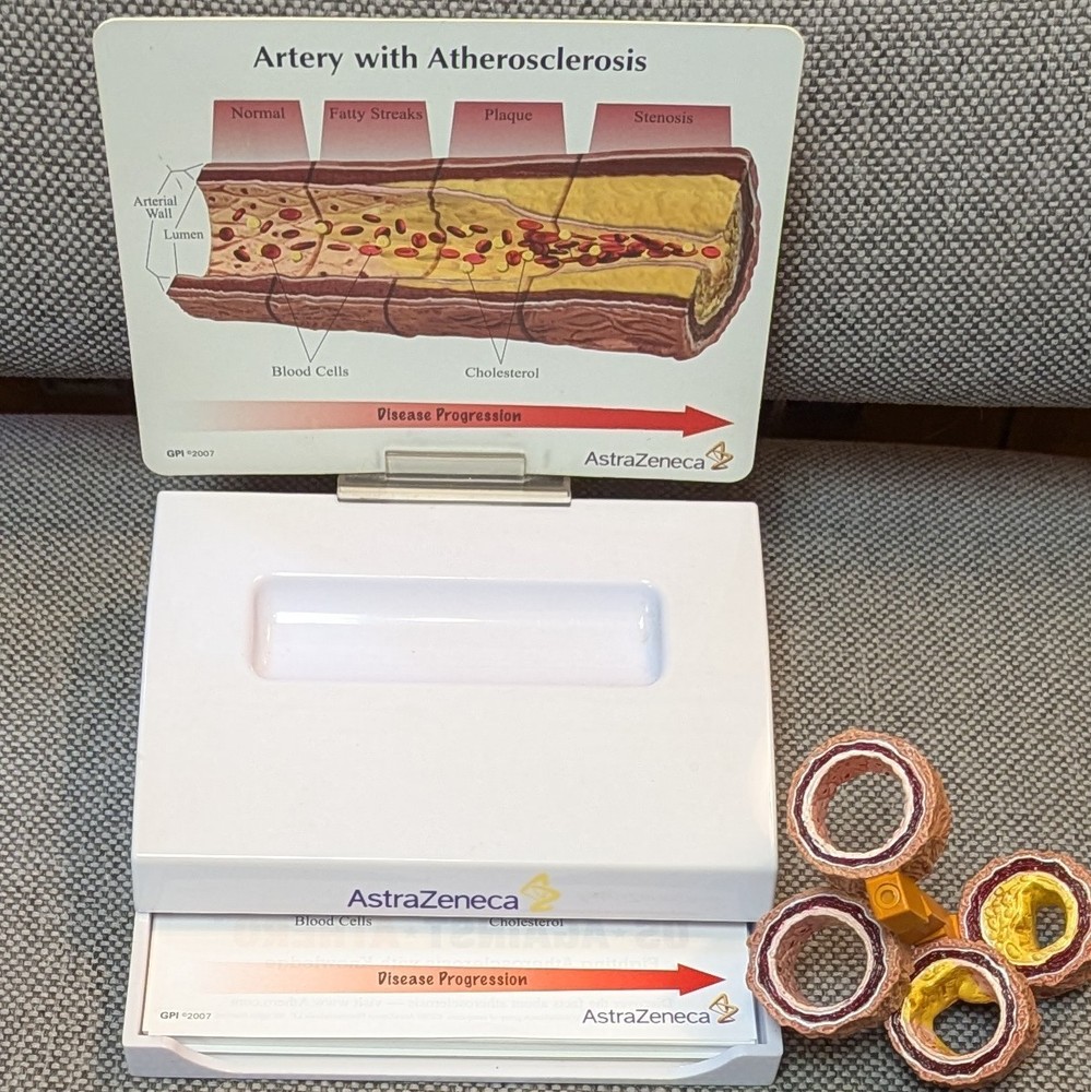 Drug Rep Promo Cholesterol Artery Display Model w Educ. Flyers AstraZeneca