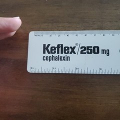 Eli Lilly Promotional 12″ Ruler Vintage Keflex Collectible Cir 70s
