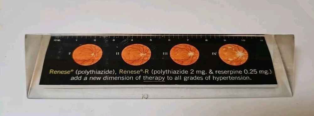 RENESE Pfizer Pharmaceutical Promo Vintage 1964 LUCITE Advertising Ruler
