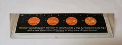 RENESE Pfizer Pharmaceutical Promo Vintage 1964 LUCITE Advertising Ruler