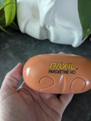 2000s Y2K Paxil Pill Refrigerator Magnet Memo Clip Drug Rep Promo