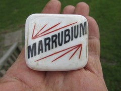 Unusual 1900s MARRUBIUM (Horehound) Porcelain APOTHECARY Cabinet Drawer KNOB A++
