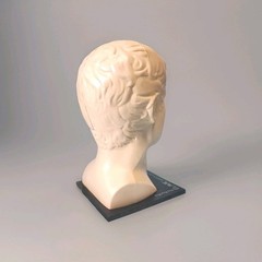Vintage ELAVIL Anatomical Head w/ Removable Brain 1970s MSD Pharmaceutical Promo
