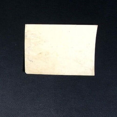 Antique Hayden’s Viburnum Compound Label – New York Pharmaceutical Co