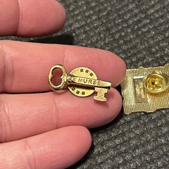 RN BSN Nurse Lapel Pin lot of 2 Gold tone Key P64