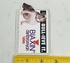 Pharmaceutical Drug Rep Lot Biaxin Magnets & Magnetic Clips + Ultracet Cold/Hot