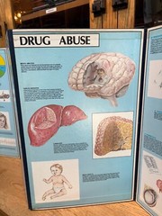 Vintage 1960s 1970s Drug Use Abuse Educational Teacher Display Board Poster Sign
