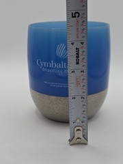 CYMBALTA Desk Decor Pen Holder Collectible Pharmaceutical RARE Drug Rep Merch