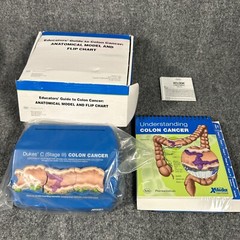 Colon Cancer Anatomical Anatomy Model Chart Display Roche Pharmaceutical Xeloda