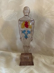 Vintage Diuril Hydro Male Medical Anatomy, 6.5″
