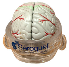 Vintage Seroquel Head Brain Anatomy Pharma Design Sales Display Removable Brain