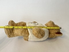 Vintage Roche Pharmaceutical Merch Advertising Teddy Bear Plush Sweater 14” 2000