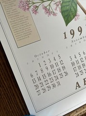 Vintage 1991 Cinchona Tree Pharmacy History Pharmacist Poster Afrin Promo Swag