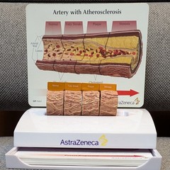 Drug Rep Promo Cholesterol Artery Display Model w Educ. Flyers AstraZeneca