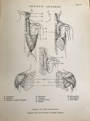 1930 Anatomical drawing Set Of 50 „Plates“ From The Art Guild Academy Of LA