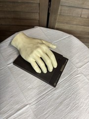 1967 MEDICAL HAND MODEL Anatomical Merck Sharp Dohme Indocin Advertising