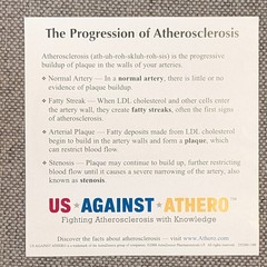 Drug Rep Promo AstraZeneca Cholesterol Artery Display Model w Educ. Flyers 2007