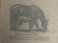 Astra Pharmaceutical 10th Anniversary Animal Prints Xylocaine D. Schwartz 1950s