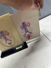 macrobid acute cystitis Doctor display