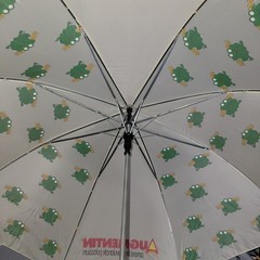 Augmentin Pharmaceutical Advertising Umbrella Frogs