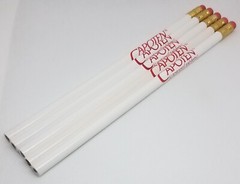 5 Capoten Captopril Tablets Pharma Drug Rep Advertising Wood Pencils