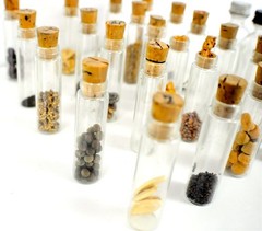 Lot of Vintage Glass Vials w/ Organic Seeds