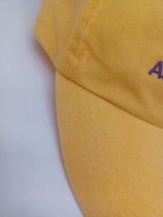 Rare Astra Zeneca Pharmaceutical Promo Hat One Size Adjustable Embroidered