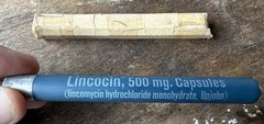 Vtg Upjohn Pharmaceuticals Drug Rep Sales Advertising Item Lincocin Antibiotic