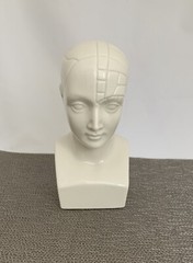 Antipsychotip Etrafon Porcelain Phrenology Bust Sculptor Edward Marshall Boehm