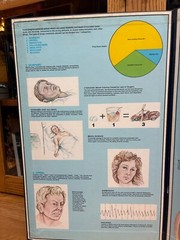 Vintage 1960s 1970s Drug Use Abuse Educational Teacher Display Board Poster Sign