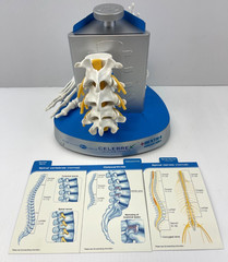 Pfizer Pharmaceutical Advertisement Celebrex Bextra Arthritis Display Model