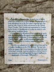 BURROUGHS WELLCOME Pharmacy English Pill Tile London Apothecary DELFT