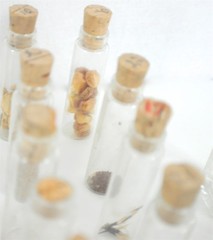 Lot of Vintage Glass Vials w/ Organic Seeds
